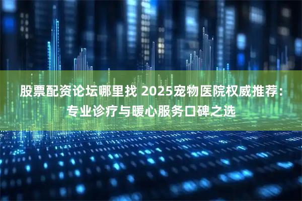 股票配资论坛哪里找 2025宠物医院权威推荐：专业诊疗与暖心服务口碑之选