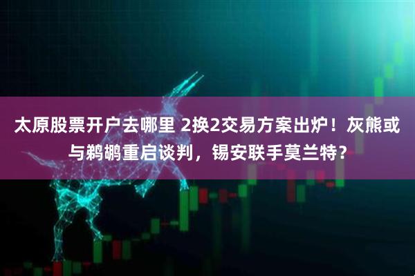 太原股票开户去哪里 2换2交易方案出炉！灰熊或与鹈鹕重启谈判，锡安联手莫兰特？